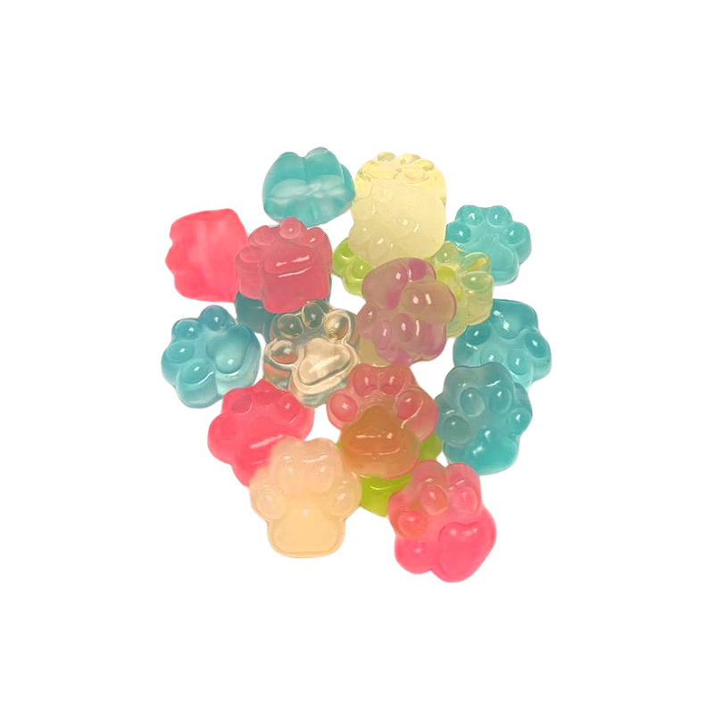 Paw Squishy Minis